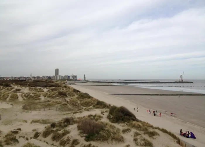 Dune 公寓 奥斯滕德